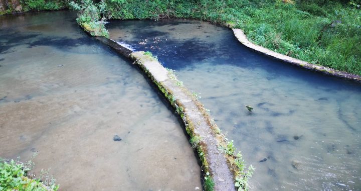 Zašto su nam važne čiste reke i zašto nam je važan Gradac?